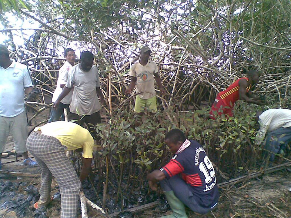 Community mangrove nursery - Cameroon